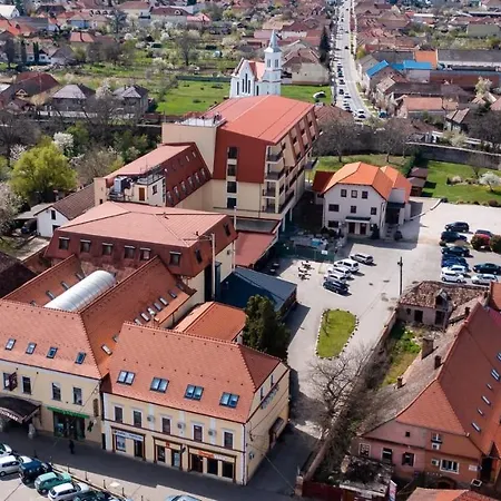Hotel Leul De Aur 4*