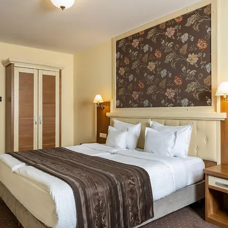 Leul De Aur Hotel