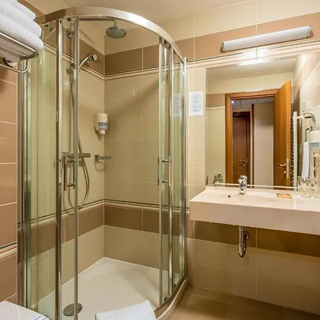 Hotel Leul De Aur 4*