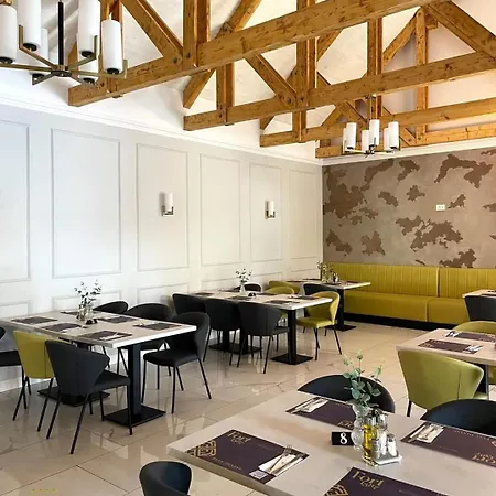Hotel Leul De Aur